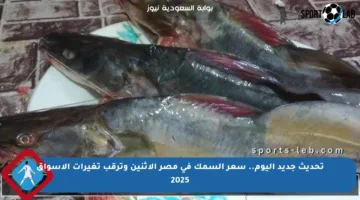 تحديث جديد اليوم.. سعر السمك في مصر الإثنين وترقب تغيرات الأسواق 2025